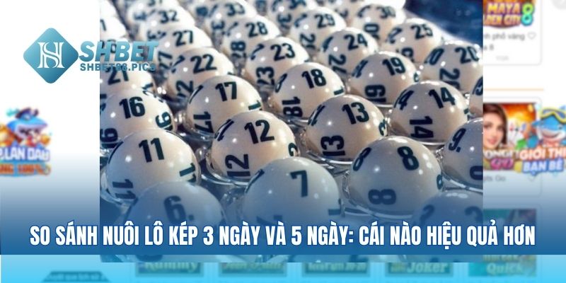So sánh nuôi lô kép 3 ngày và 5 ngày: cái nào hiệu quả hơn