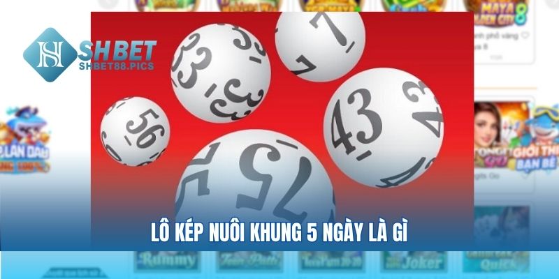 Lô kép nuôi khung 5 ngày là gì