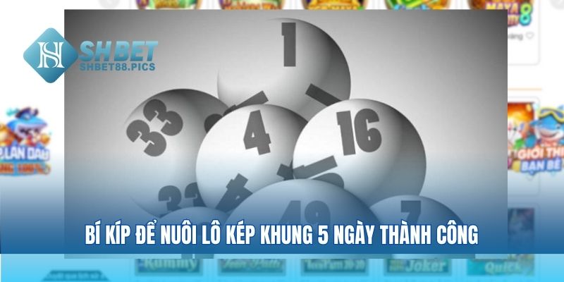 Bí kíp để nuôi lô kép khung 5 ngày thành công