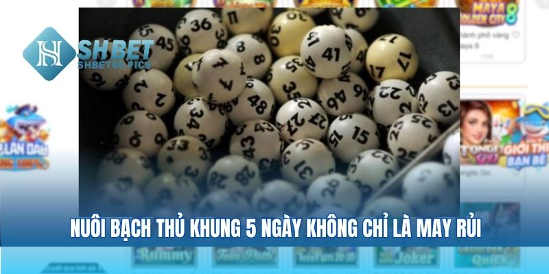 Nuôi bạch thủ khung 5 ngày không chỉ là may rủi