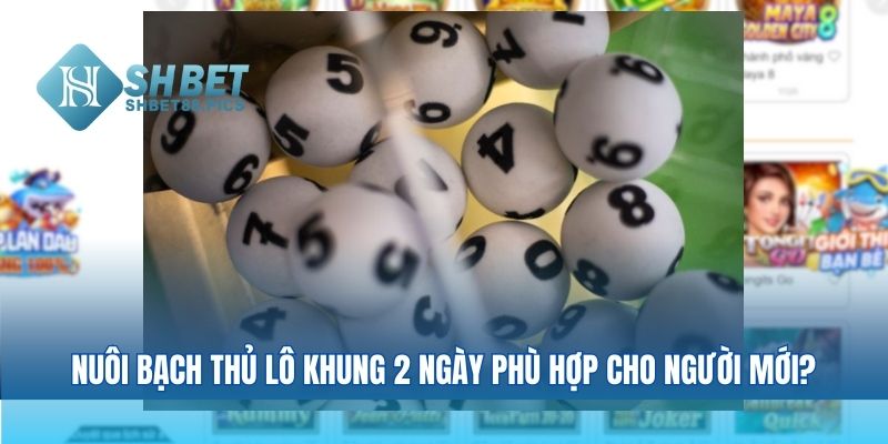 Nuôi bạch thủ lô khung 2 ngày có phù hợp cho người mới chơi không