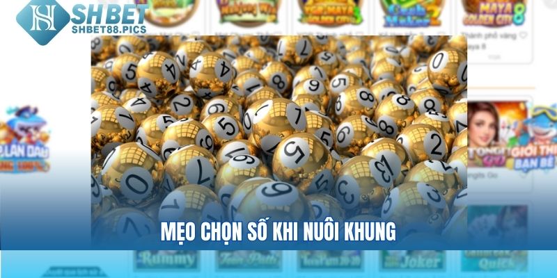 Mẹo chọn số khi nuôi khung