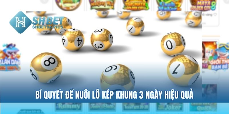 Bí quyết để nuôi lô kép khung 3 ngày hiệu quả
