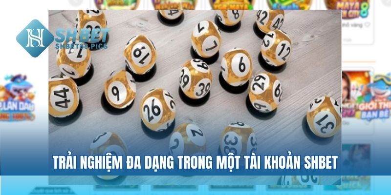 Trải nghiệm đa dạng trong một tài khoản