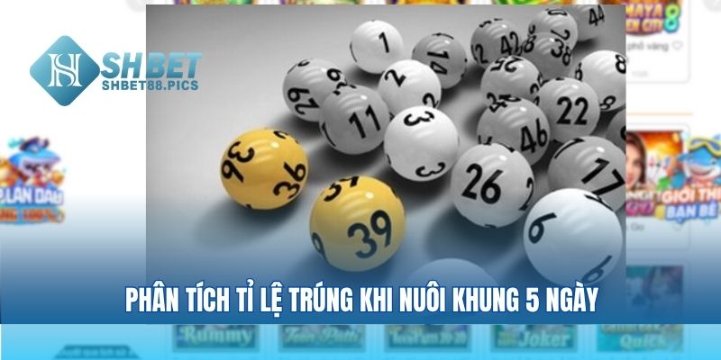 Phân tích tỉ lệ trúng khi nuôi khung 5 ngày
