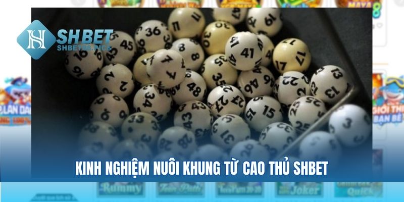 Kinh nghiệm nuôi khung từ cao thủ shbet