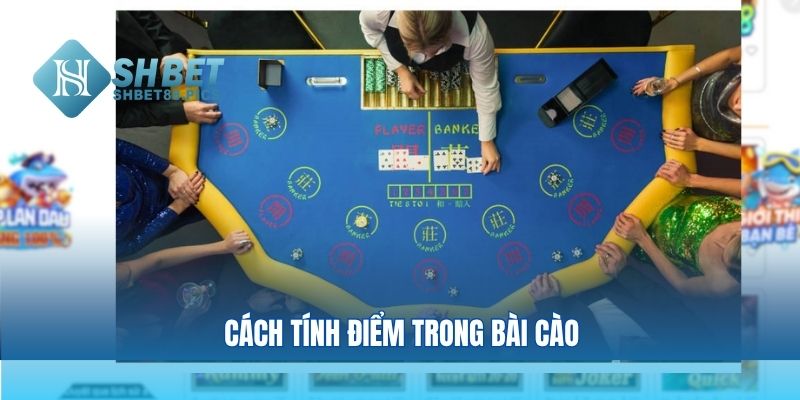 Cách tính điểm trong bài cào