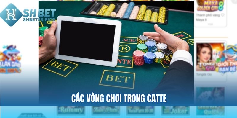 Các vòng chơi trong catte