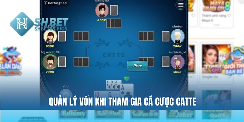 Quản lý vốn khi tham gia cá cược catte