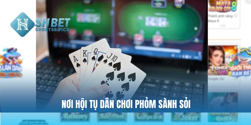 Nơi hội tụ dân chơi phỏm sành sỏi