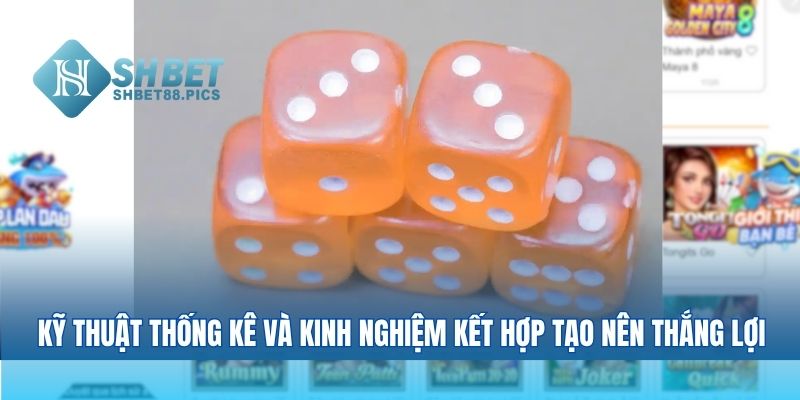Kỹ thuật thống kê và yếu tố kinh nghiệm kết hợp tạo nên thắng lợi
