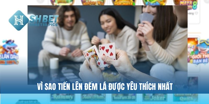 Vì sao tiến lên đếm lá được yêu thích nhất